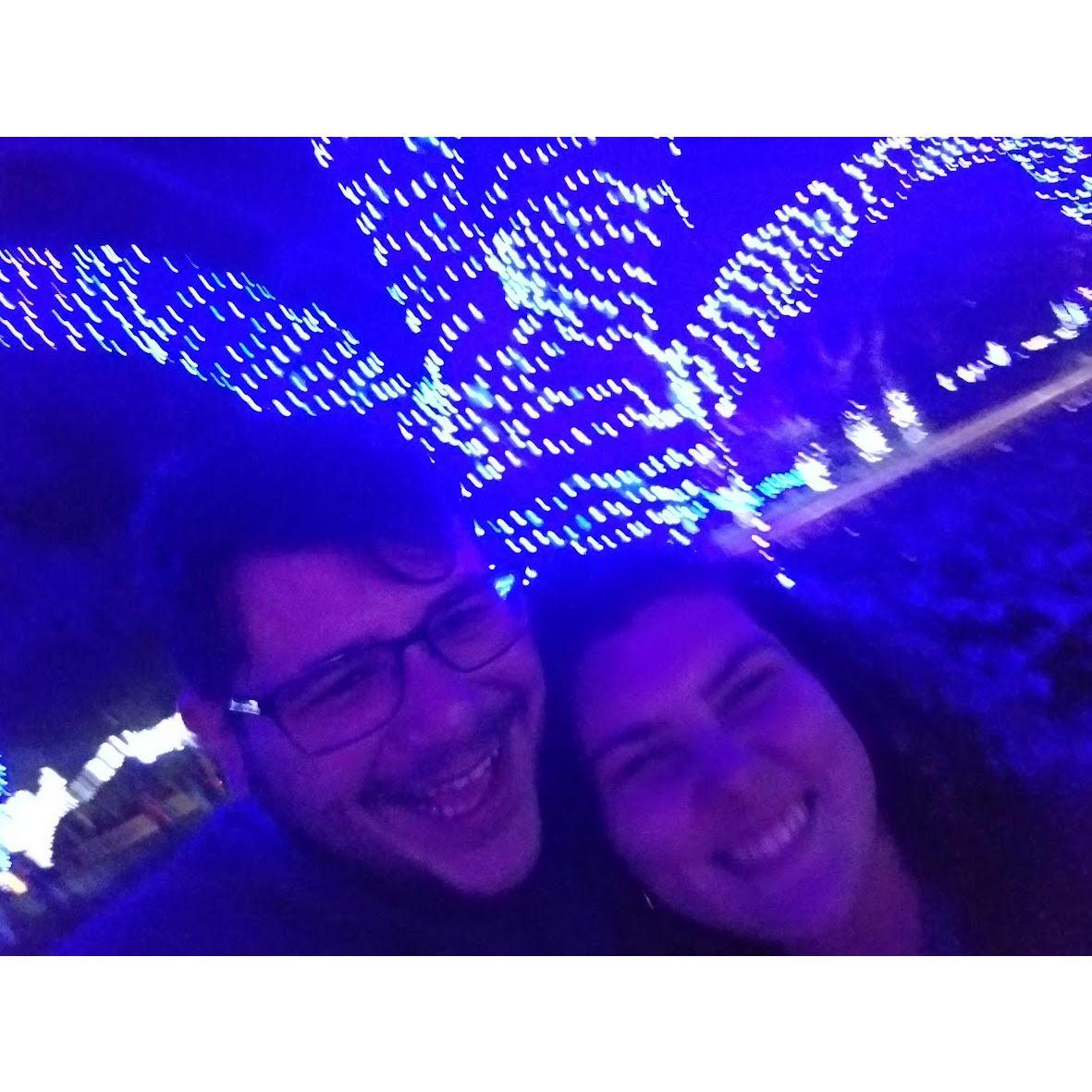 Christmas Light Display, Largo, December 2019