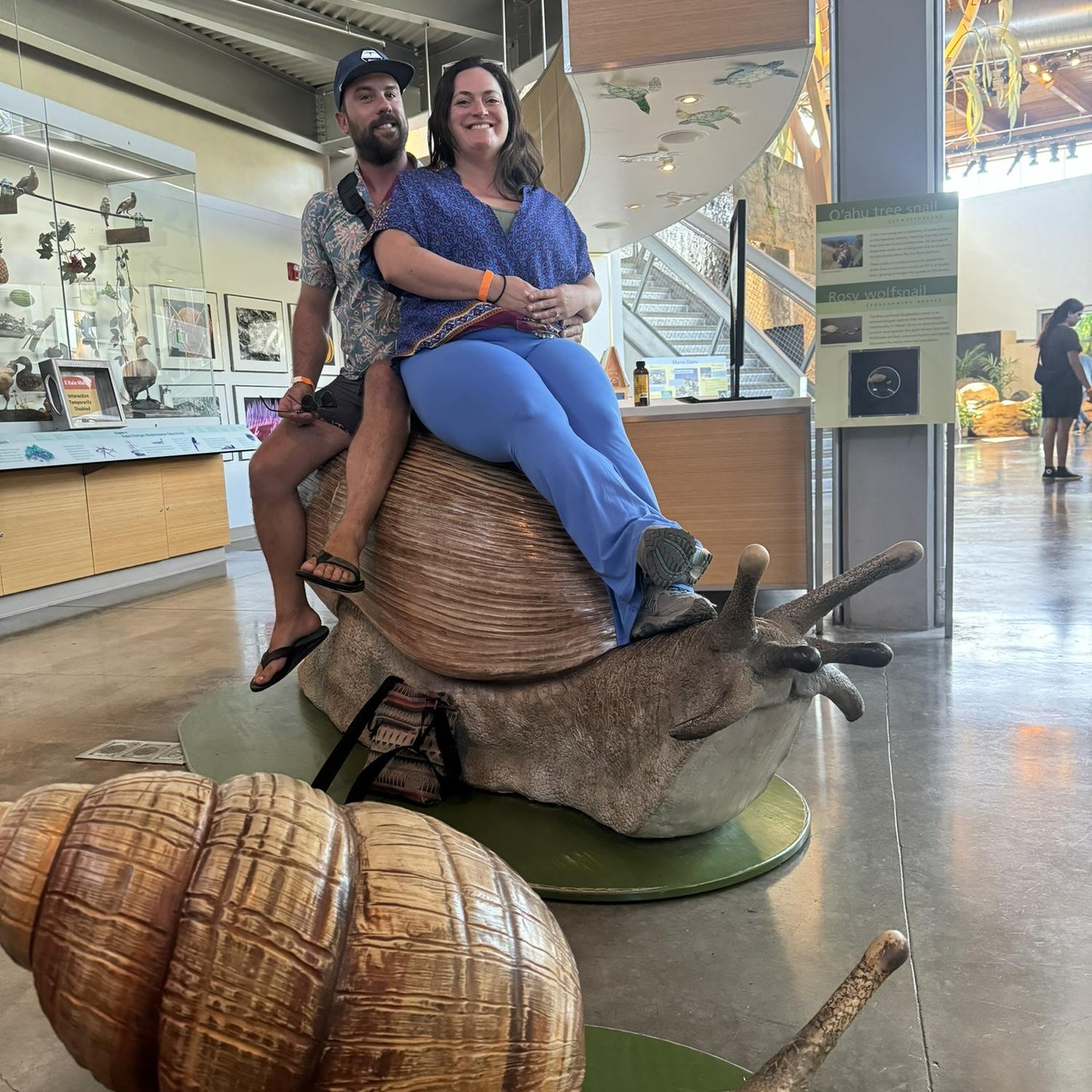 Disco snails at the bishop museum