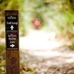 George Mitchell Preserve