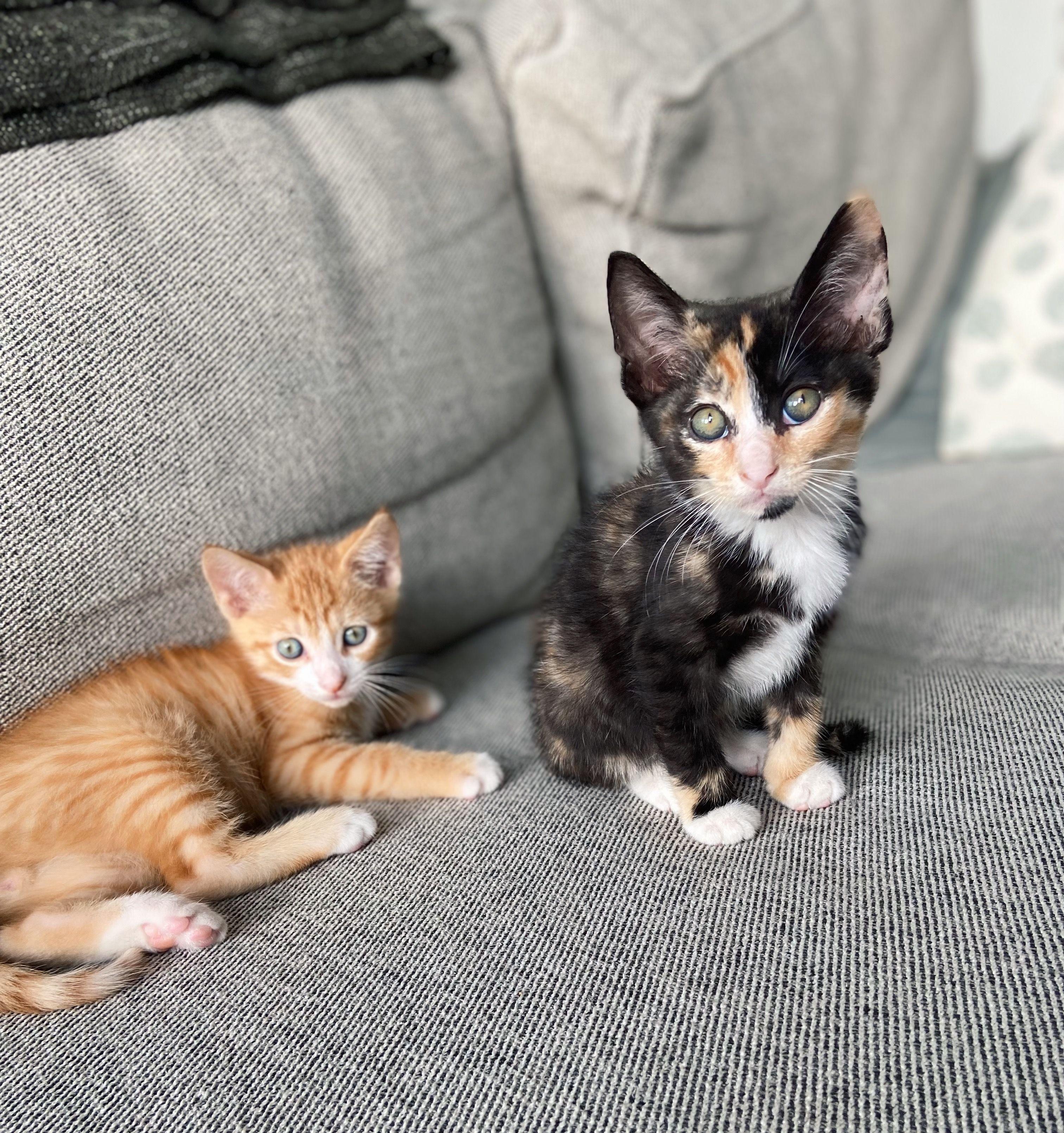 The Wedding Website of Anne McDermott and Joseph Samuel