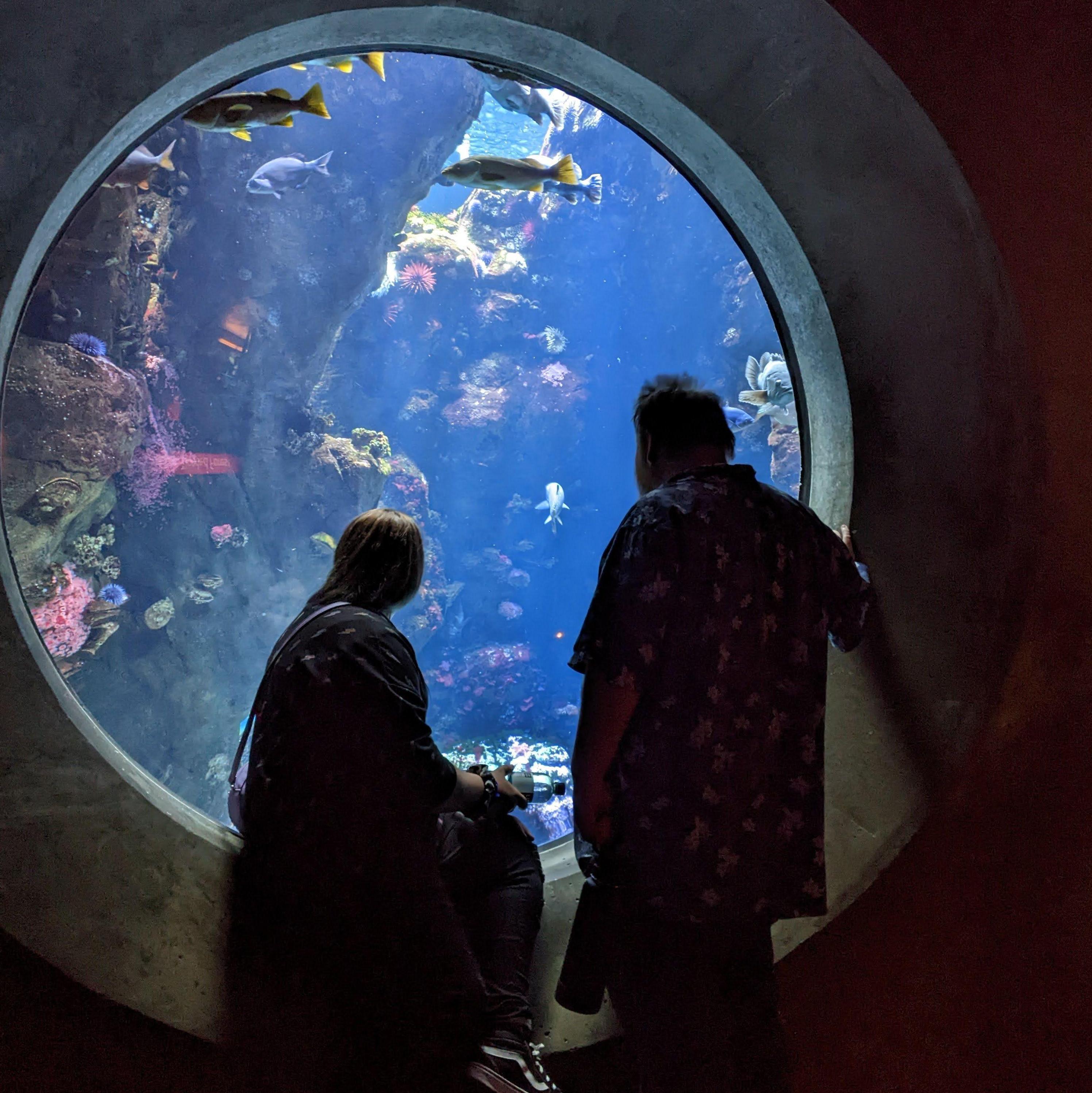 When picking up Jessica in the Bay Area after her visit to Texas to stay with Alex's family, we decided to make a vacation out of it and went to the CA Academy of Sciences.