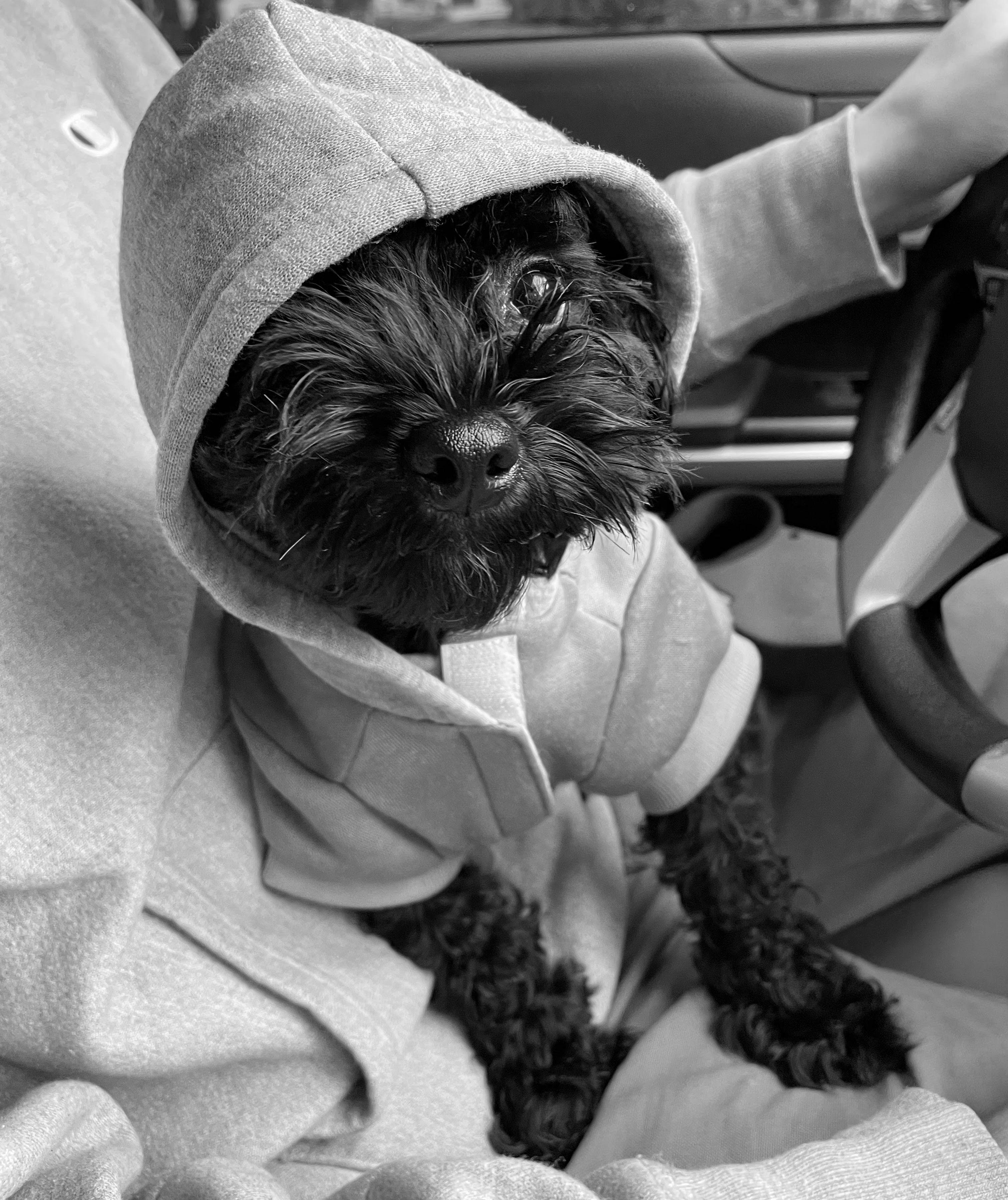 The Wedding Website of Amelia Farrell and Jake Lee