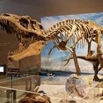 Natural History Museum of Utah