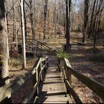 Chimney Rock Park