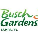 Busch Gardens Tampa Bay