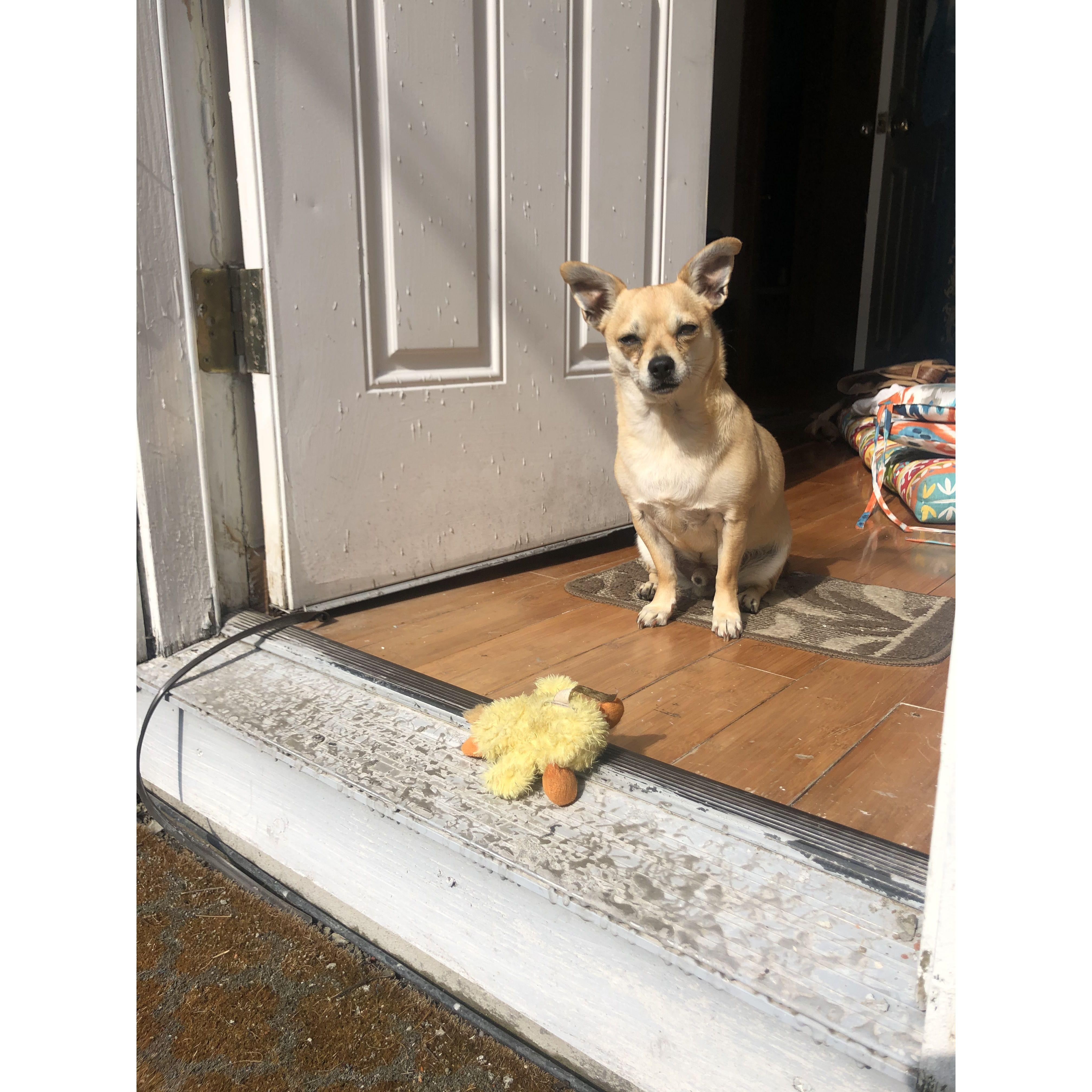 0 & Ducky <3
Bedstuy, Covid era