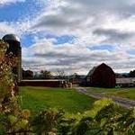 Rockbridge Vineyard & Brewery