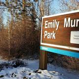 Emily Murphy Park