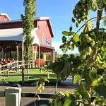 Bale Breaker Brewing Company