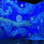 Van Gogh: The Immersive Experience (December - 7th of Jan)