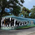 Jungle Adventures, A Real Florida Animal Park