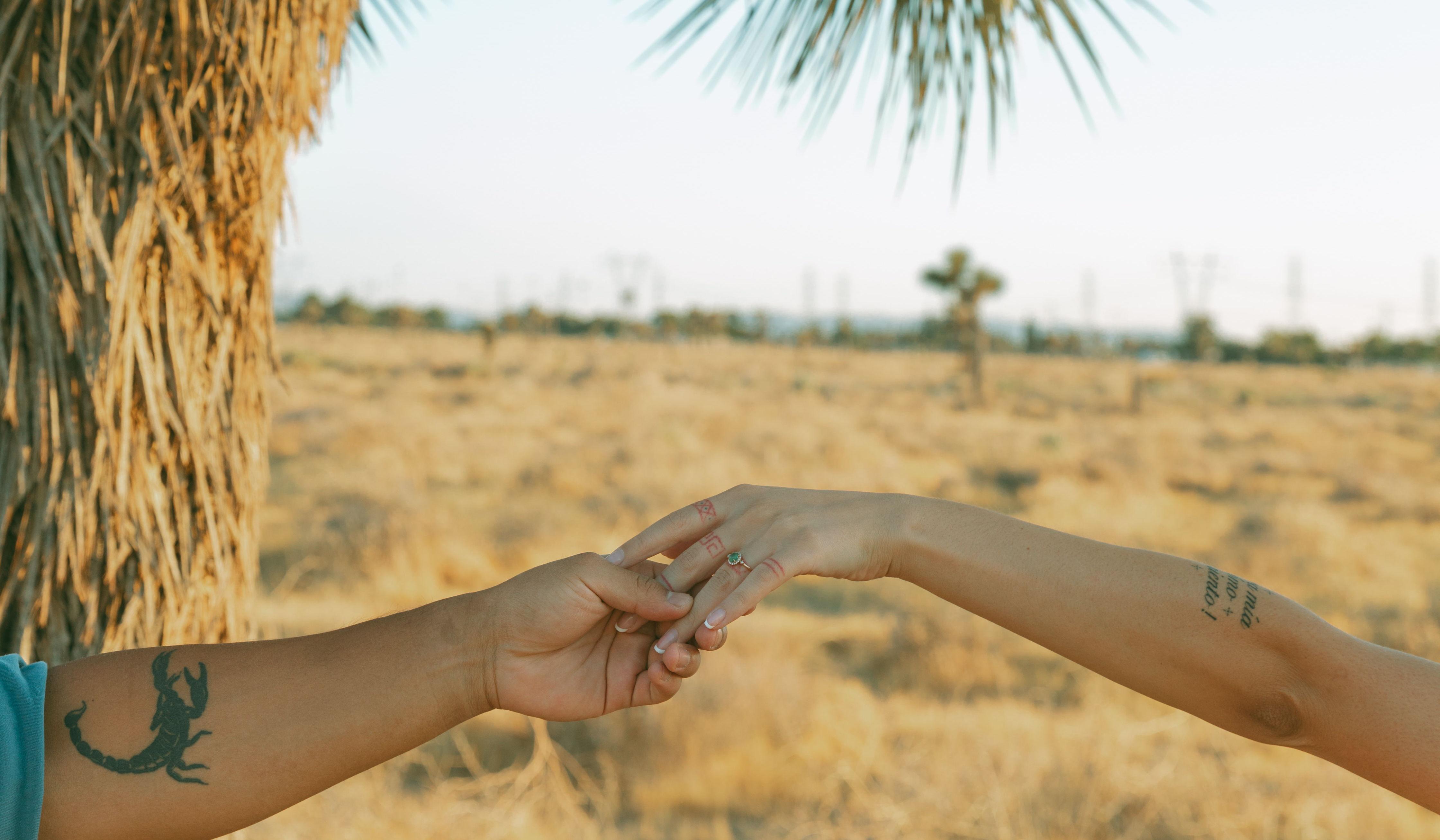 Hero Slideshow Image 2