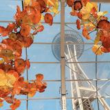 Chihuly Garden and Glass