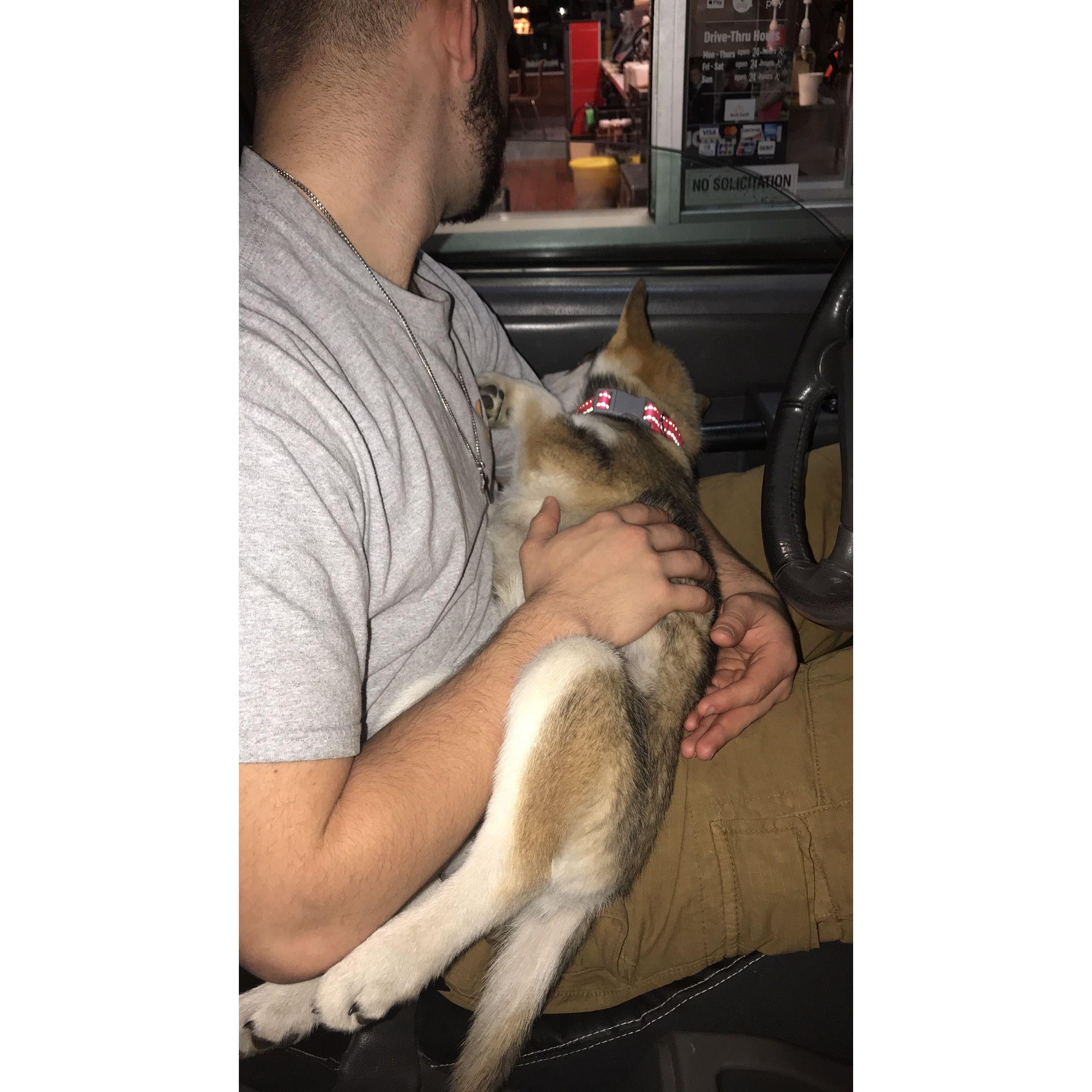 The day we adopted our First puppy! (Layla)