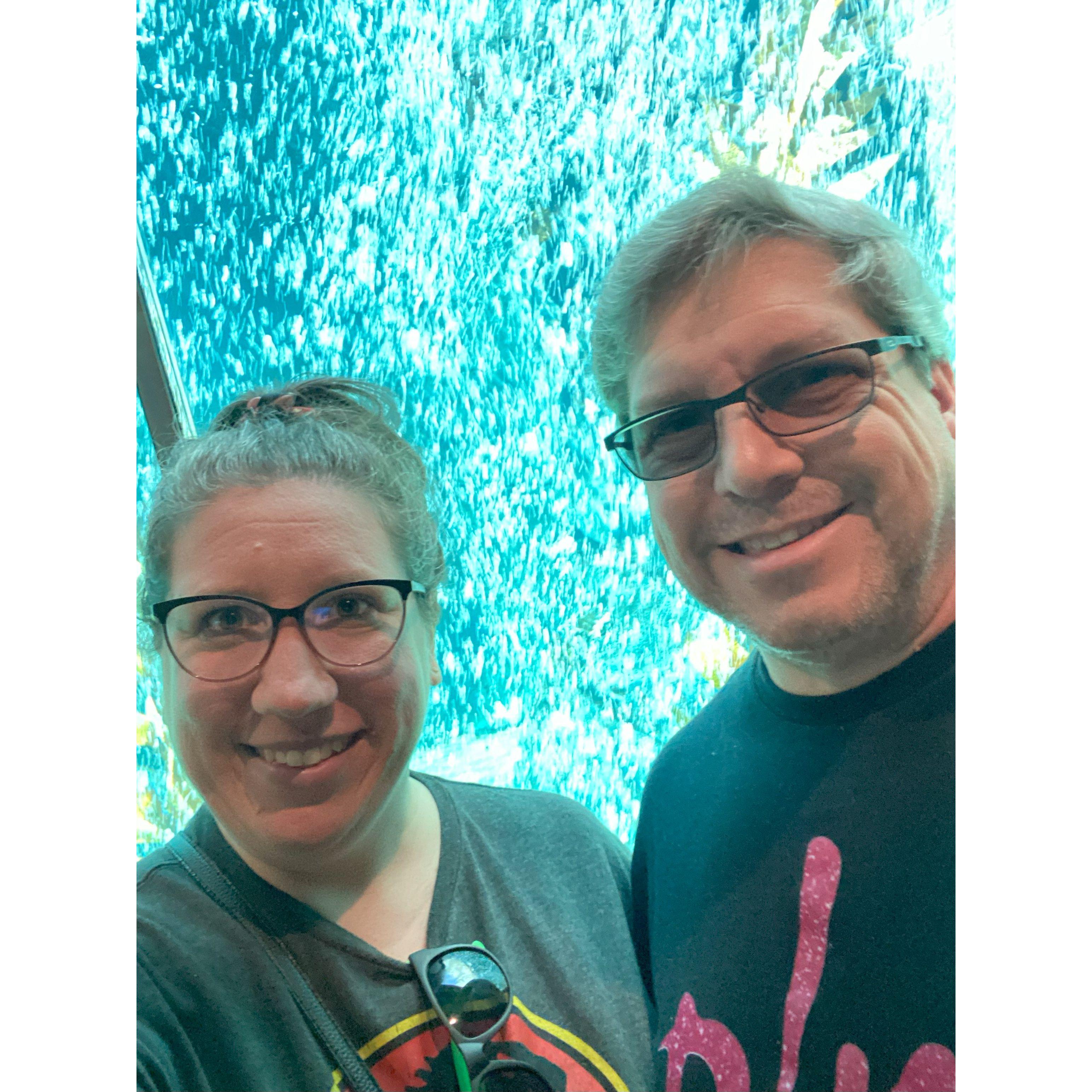 Bubble wall at San Diego Zoo!