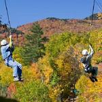 Alpine Adventures