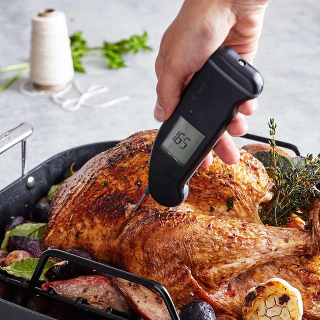 Thermapen Mk4