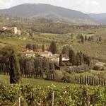 Wine Tasting and Tour at Travignoli Winery (Before, During or After Wedding Weekend)
