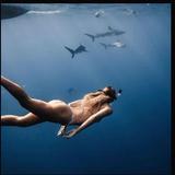 Deep Blue Eco Tours