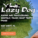 Lazy Dog Adventures
