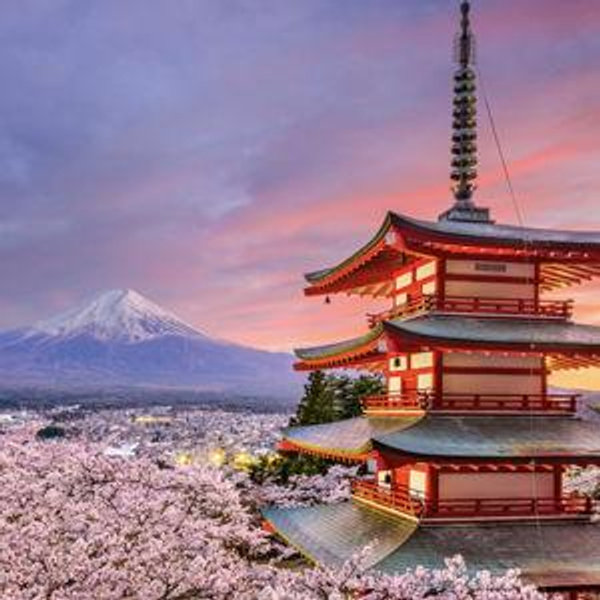 Honeymoon Fund to Japan