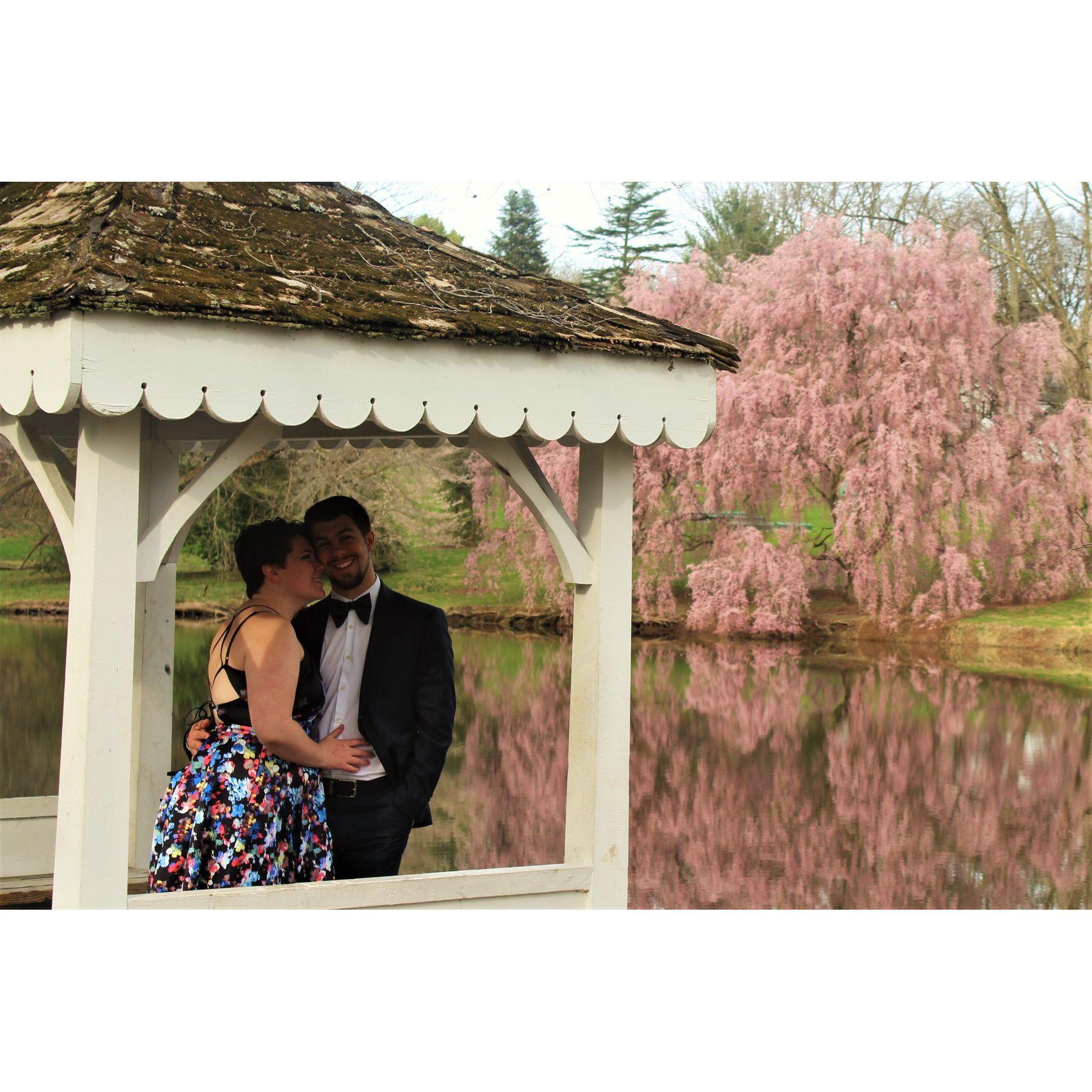 Emma's senior formal with Omega Chi aligned perfectly with the blooms of the weeping cherry tree on Lake Archer, at DelVal where we met.