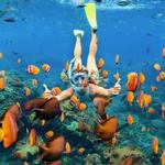 Snorkel & Sandbar