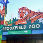 Brookfield Zoo