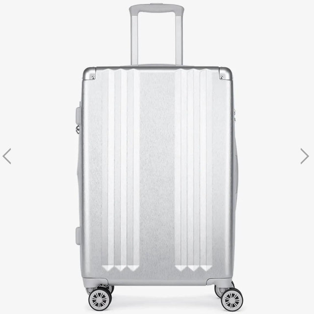 Ambeur Medium Luggage in Silver
