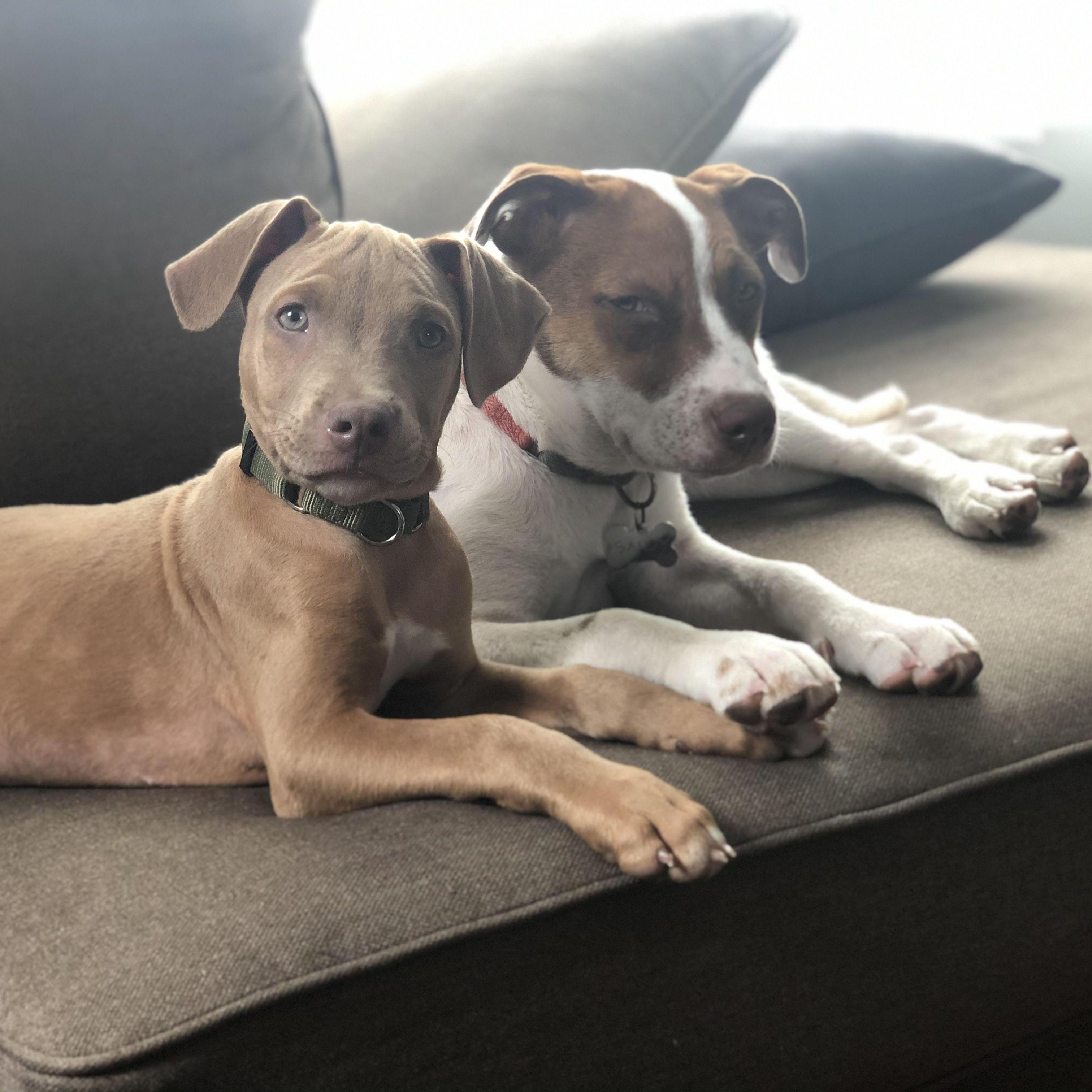 One of the first pictures of our babies together