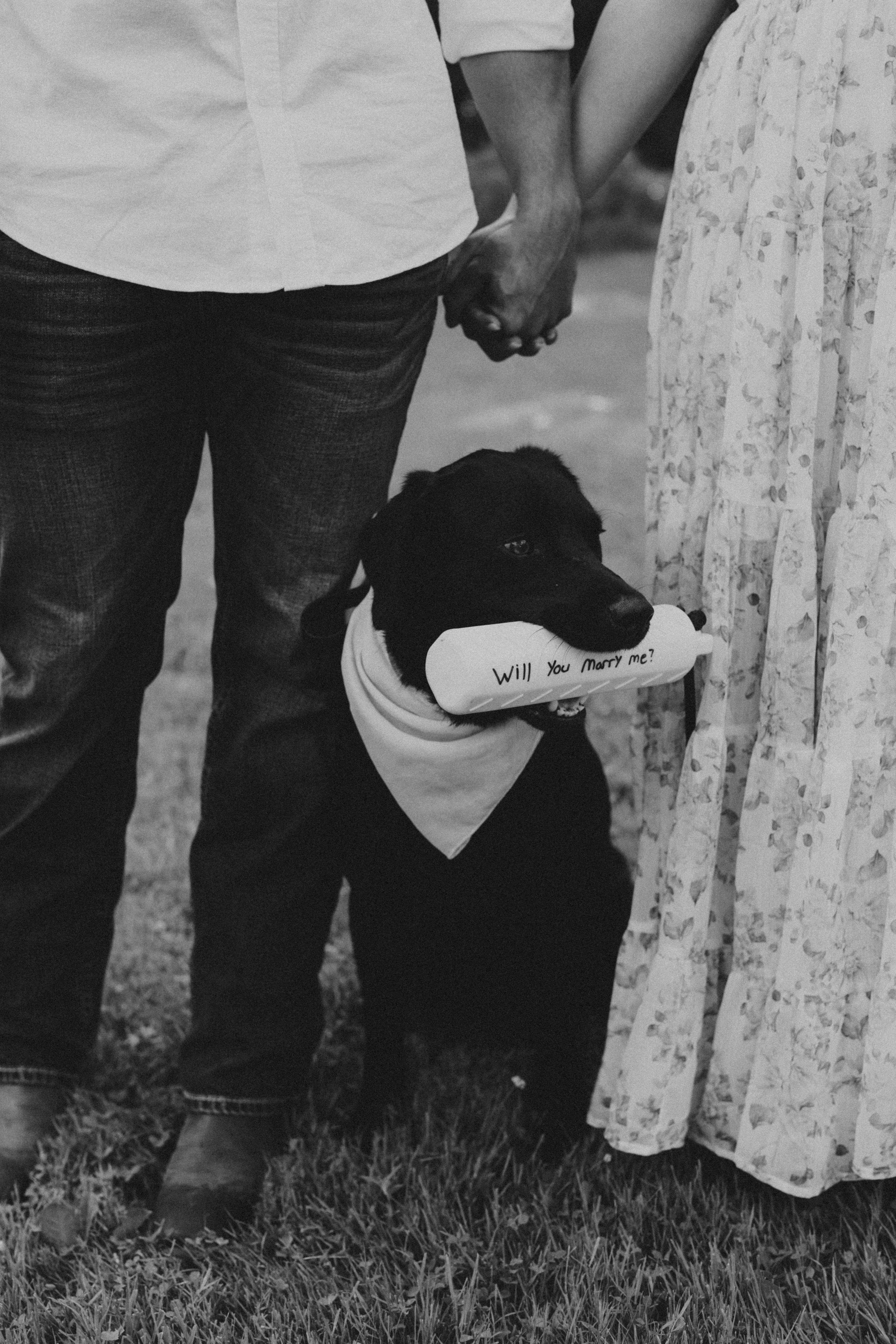 The Wedding Website of Chandler Hildebrand and Hannah Baeten