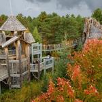 The Wild Center