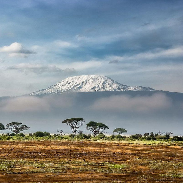 Kilimanjaro Fund