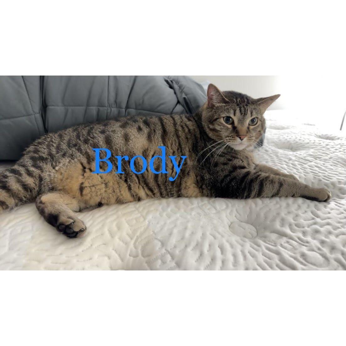 Brody is a mama's boy and was hesitant to meet his future dad. He would hide under the bed with his sister. Once he realized David wasn't going anywhere he decided they would be besties and sleeps on his side of the bed every night!