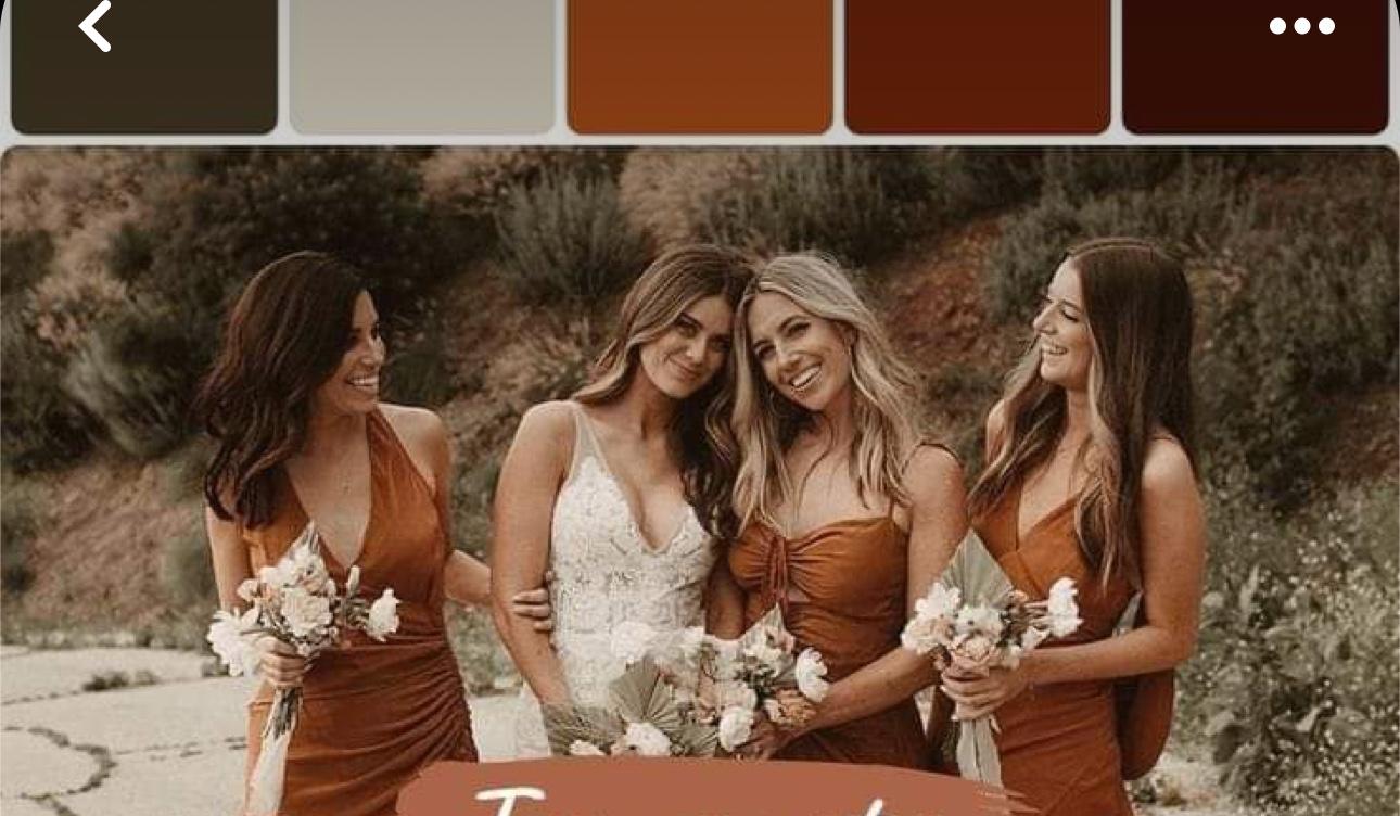 The Wedding Website of Brandy Sweet and Crystal Morgan