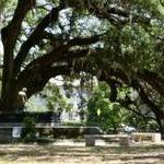 City Park