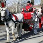 NYC Horse Carriage Rides