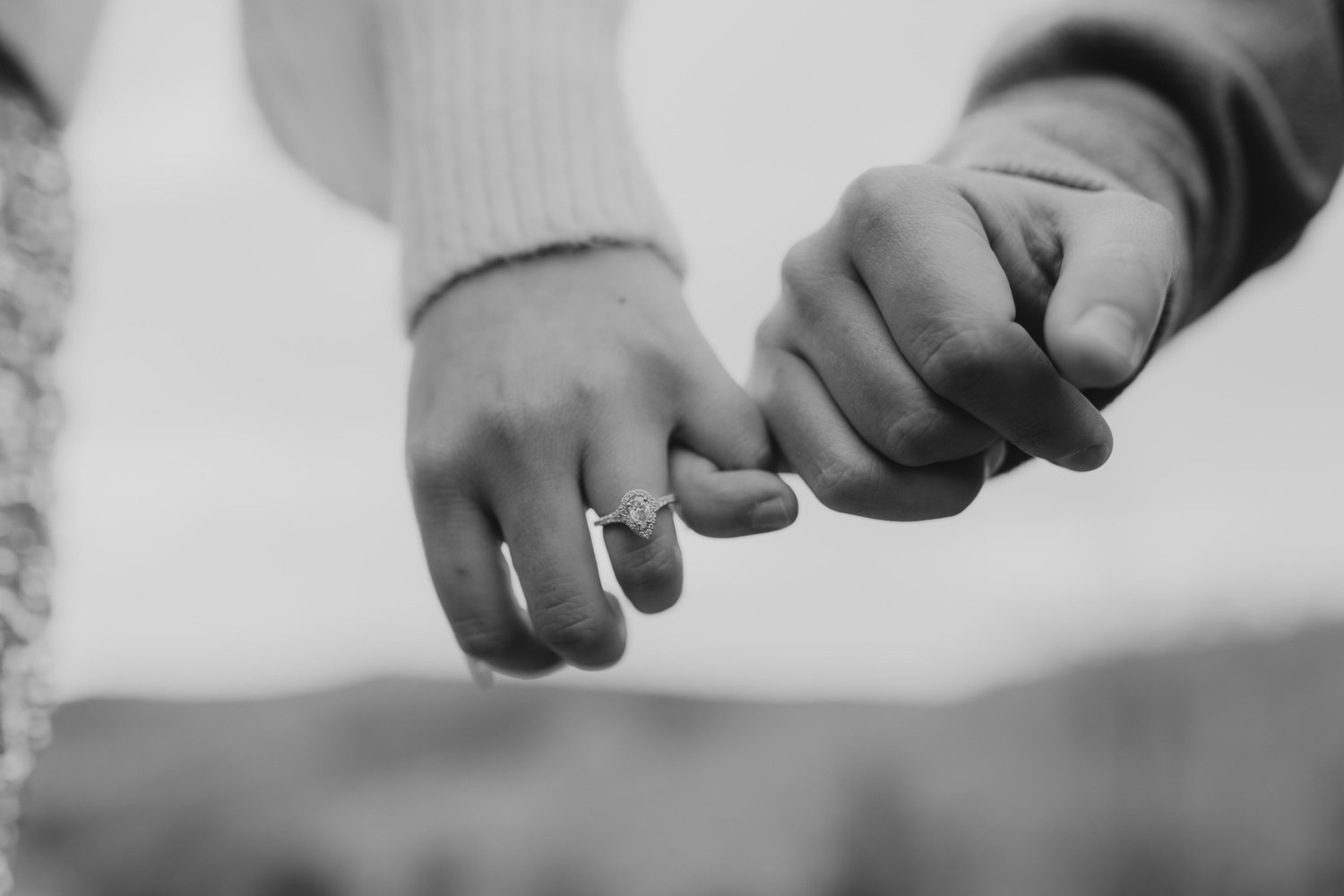 The Wedding Website of Sydney Hubert and Taylor Moulton