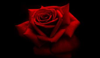 3bc5317d-2b4d-4ab3-952c-10fbe981685e