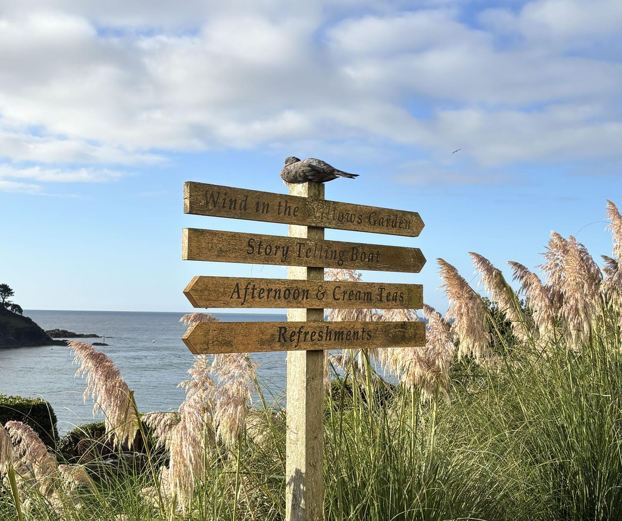 The Wedding Website of Austin Drake and Demelza Faber