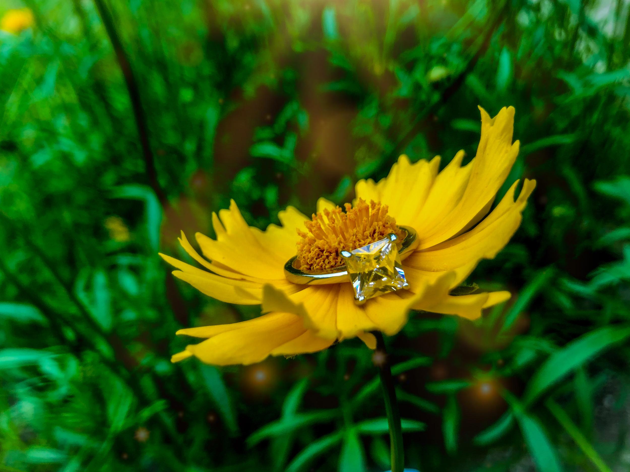 The Wedding Website of Ashley Burns and Dustin Desadier