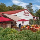 Szalay's Farm & Market