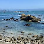 Highway 1 Discovery Route: Scenic Road Trip