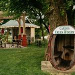 Carlos Creek Winery