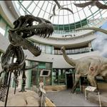 North Carolina Museum of Natural Sciences