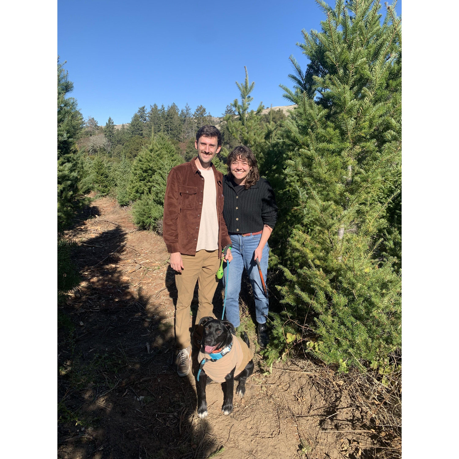Cutting down our Christmas tree this year :)