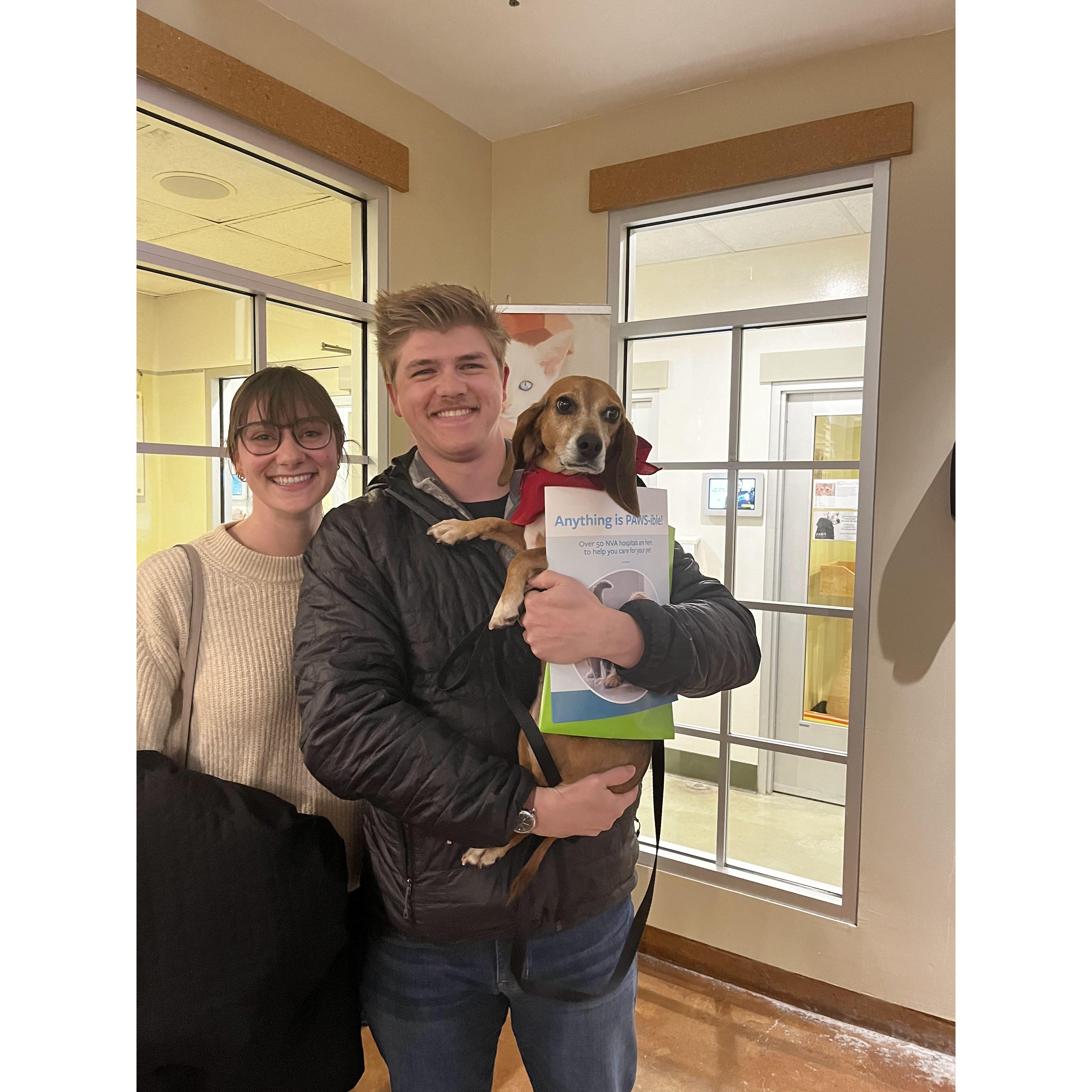 March 2024 - We adopted our beagle, Blooper!