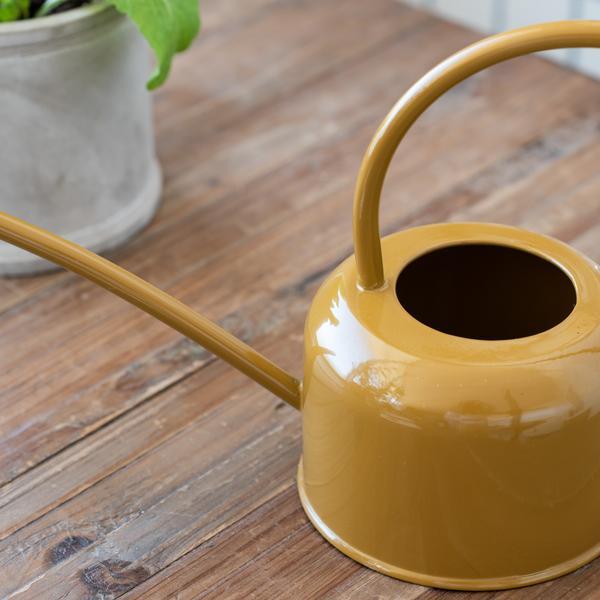 Allison Watering Can
