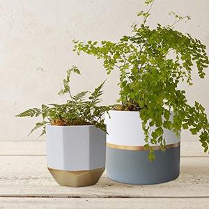 White Ceramic Flower Pot Garden Planters 6.5" Pack 2 Indoor, Plant Containers with Gold and Grey Detailing