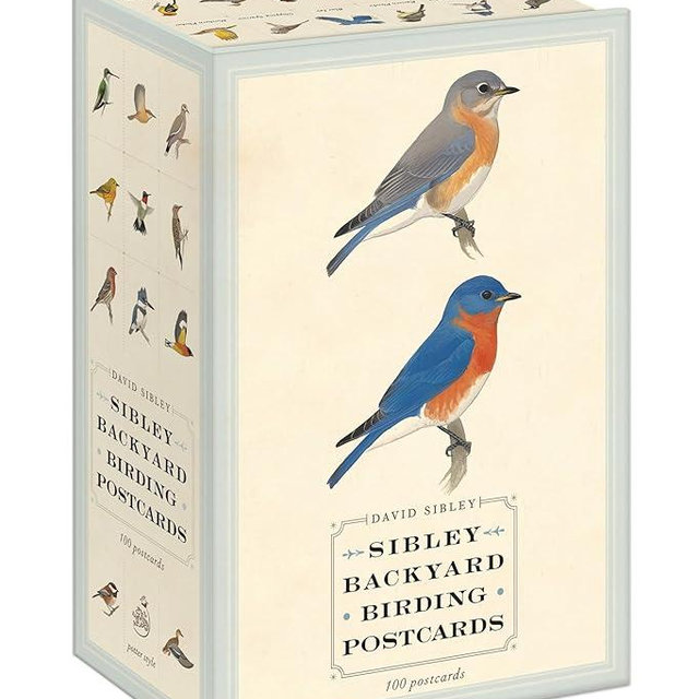 Sibley Backyard Birding Postcards: 100 Postcards (Sibley Birds)